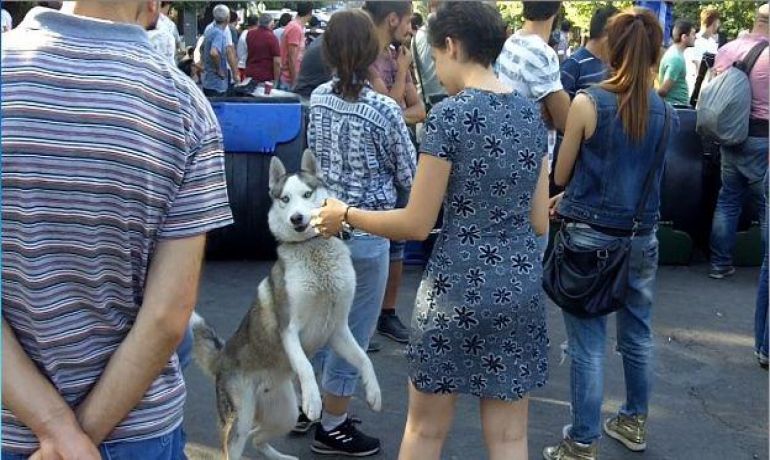 İrəvanda parlamentin qarşısında etiraz aksiyası