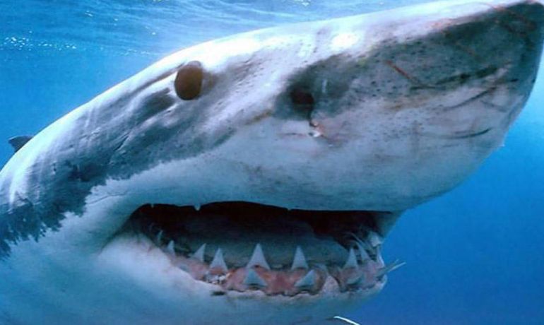 Azərbaycan Qran Prisi ötmələrə görə liderdir