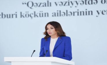 Birinci vitse-prezident: Mövcud problemləri, həlli