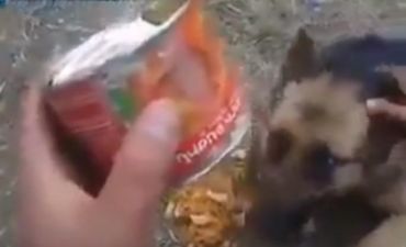 Erməni postundan götürülən konservanı Azərbaycan i