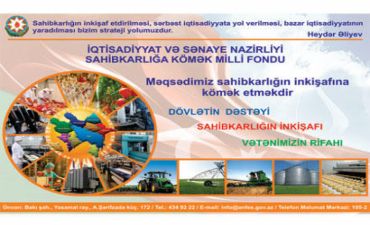 Sahibkarların nəzərinə: İnvestisiya layihələri qəb