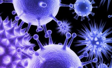 Viruslar antibiotikləri əvəzləyə bilər