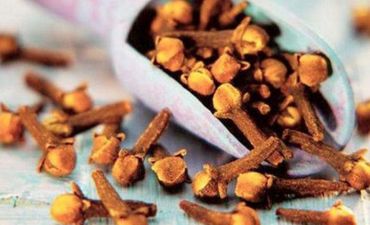 Mixəyin faydaları haqda nə bilirsiniz?