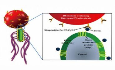 Nanorobotlar xərçəngi müalicə edəcəklər