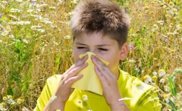 Allergik rinitin yaranma səbəbi nədir?
